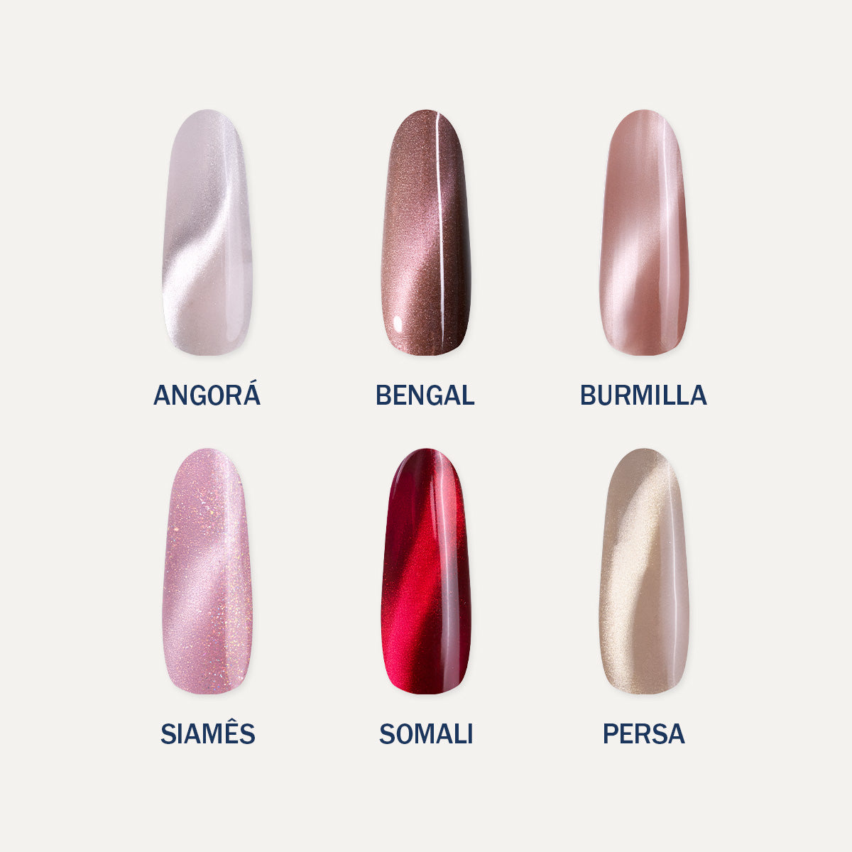 Kit Cat Eye Collection