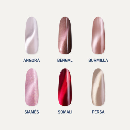 Kit Cat Eye Collection